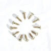 Edea Mounting Screw (Set Of 12)